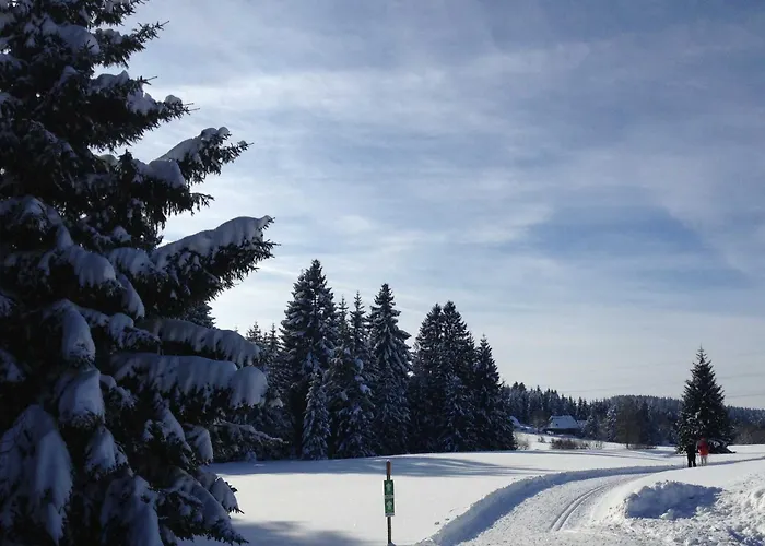 Inselklause Schönwalde